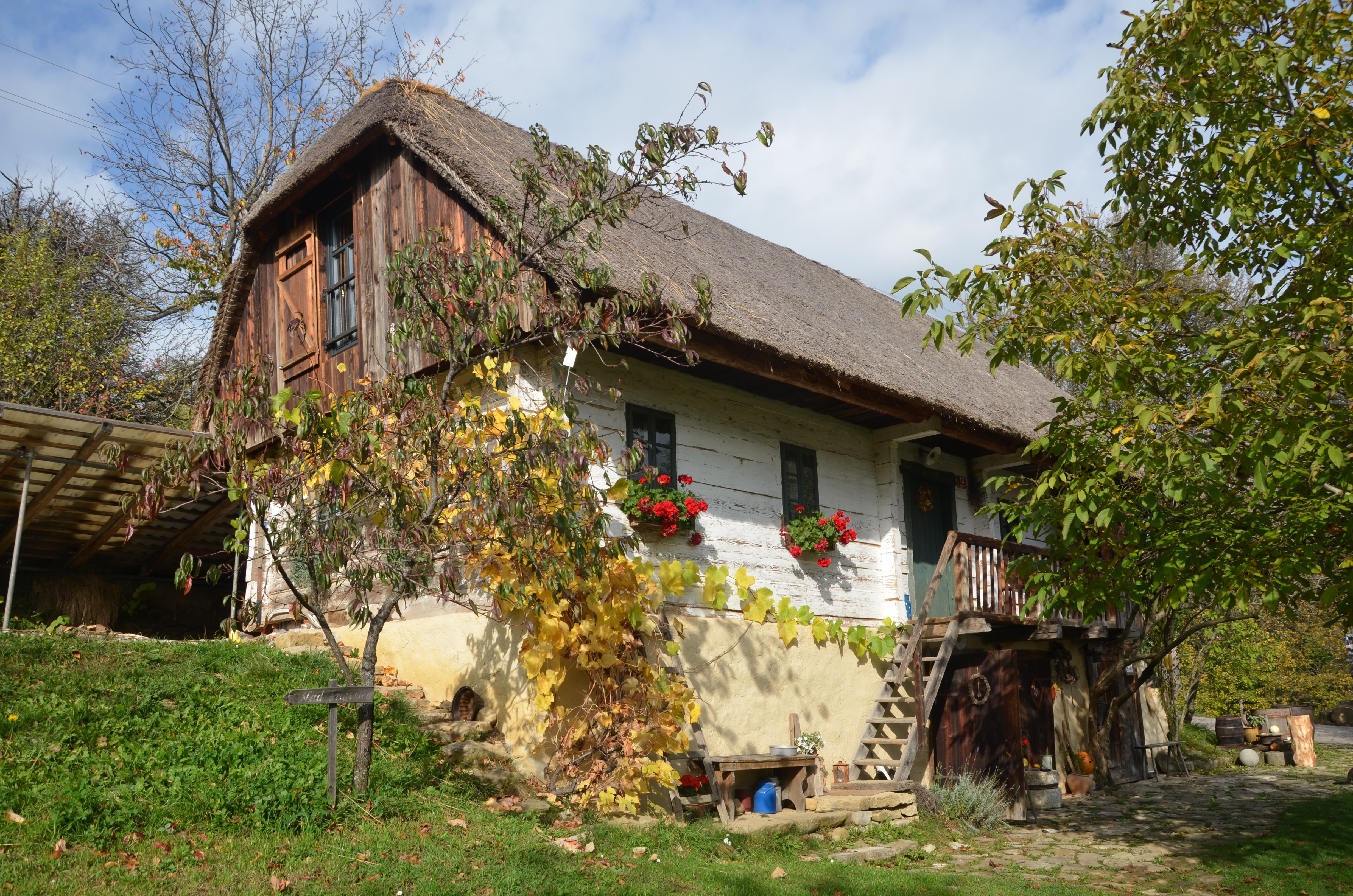 Kozjanska domačija