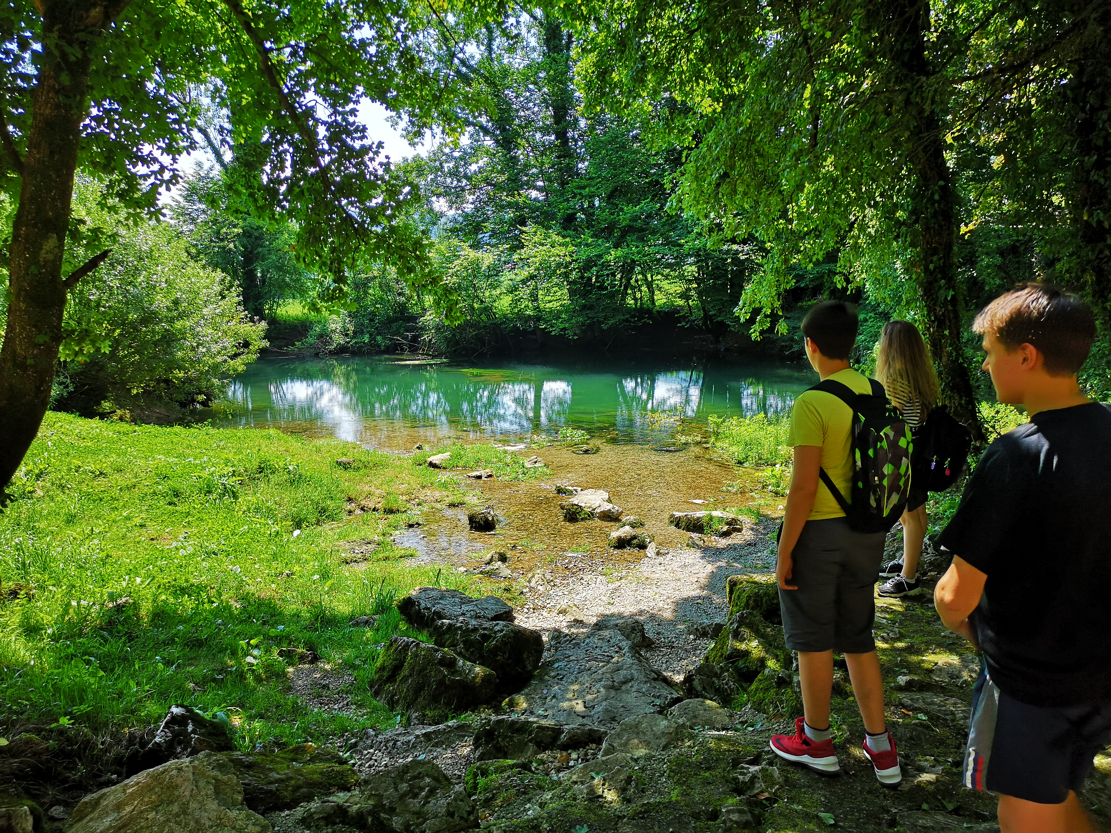 Kraški izvir reke Krke blizu vasi Krka na Dolenjskem.
