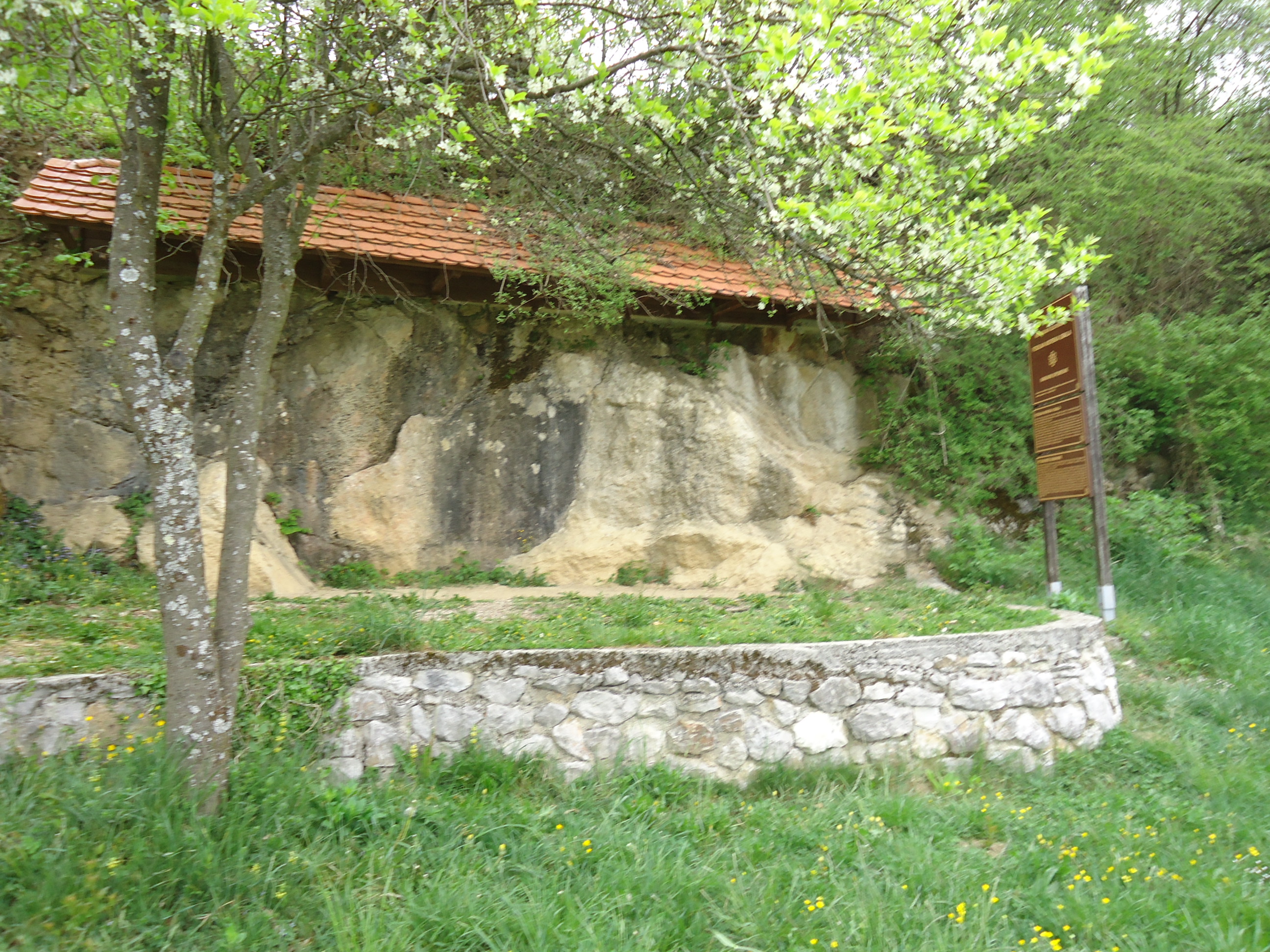 Fosilna morska obala Vače