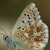 Nutzerbild von Helena Bajec