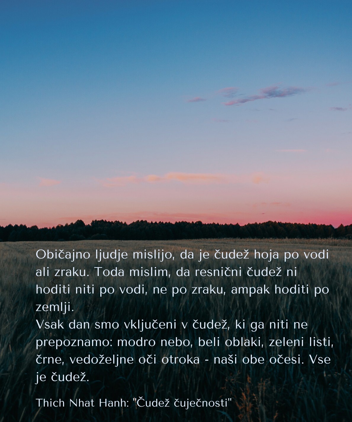 Priponka čudež - čuječnost.jpg