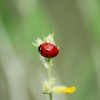 Nutzerbild von Barbara Skubic