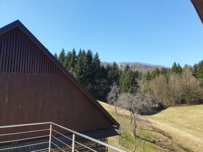 Priponka 20200319_124804.jpg