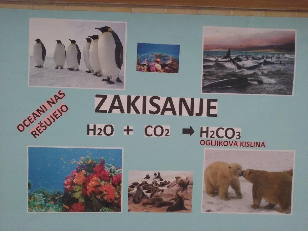 Priponka Ljubic_zakisanje.jpg