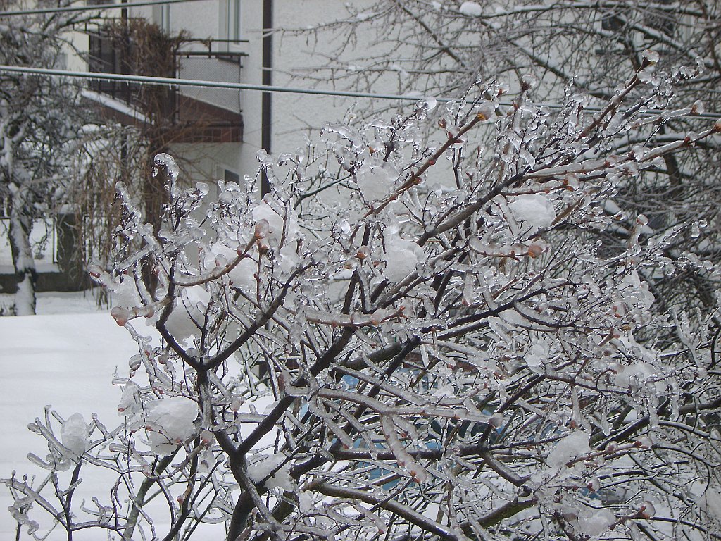 Priponka zima-maribor 011m.jpg