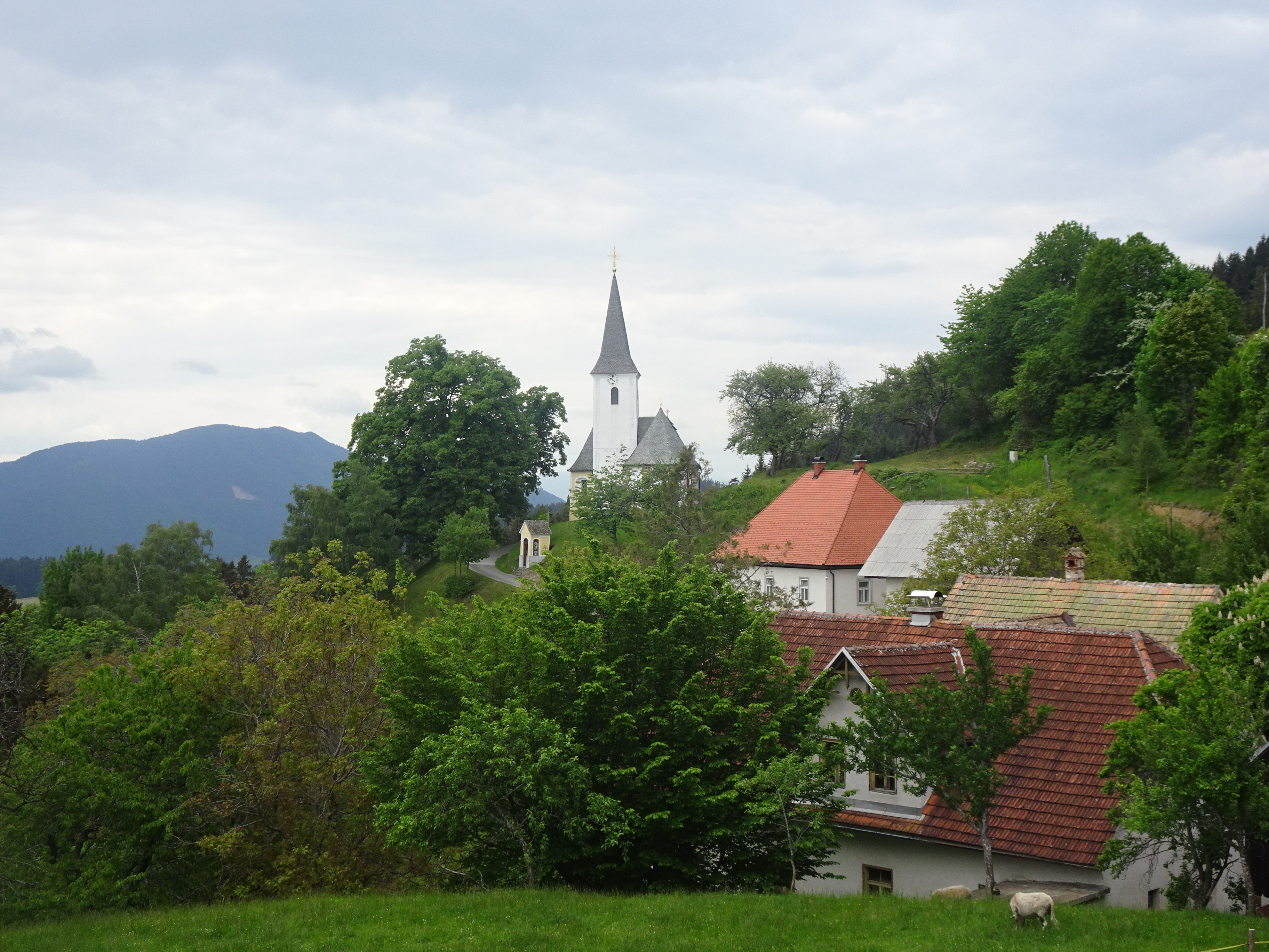 Skomarje - najvišje strnjeno naselje v Sloveniji